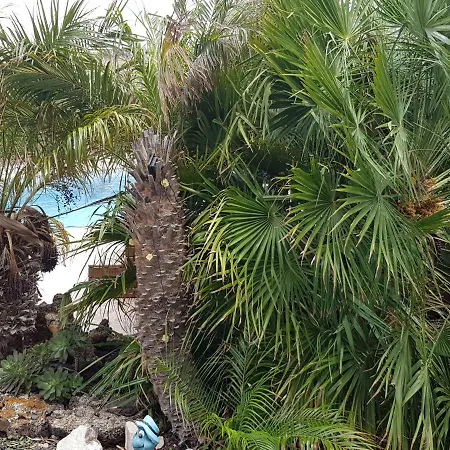 Casa Ary * Tesejerague