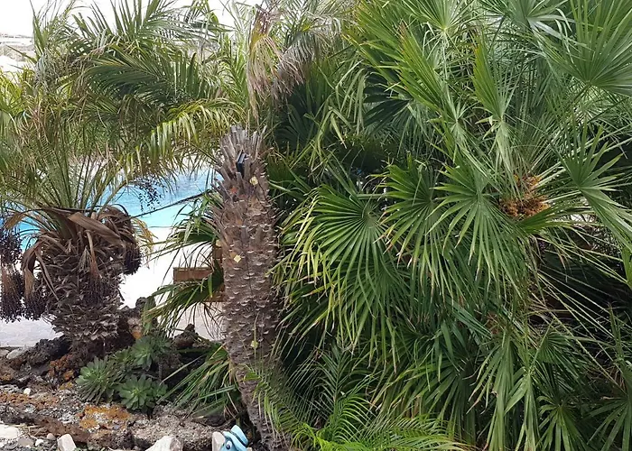 Casa Ary * Tesejerague